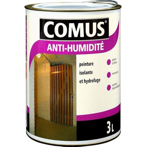 Anti-humidity paint